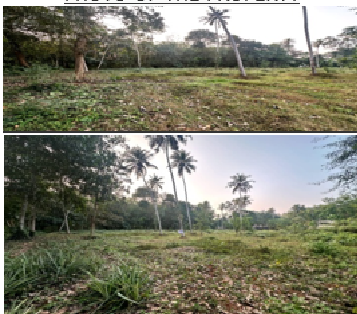 Jose Sebastian, Kerala